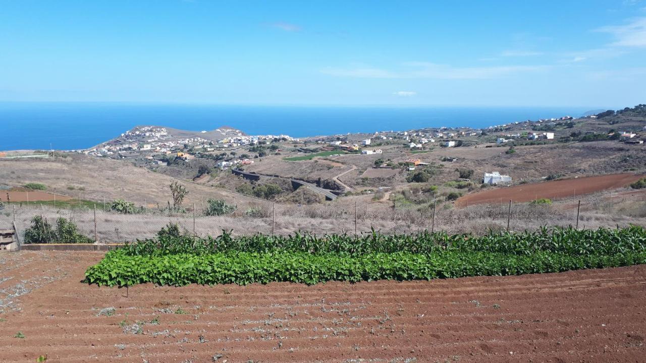 Casa Cueva Villa Aday Santa Maria de Guia de Gran Canaria 외부 사진