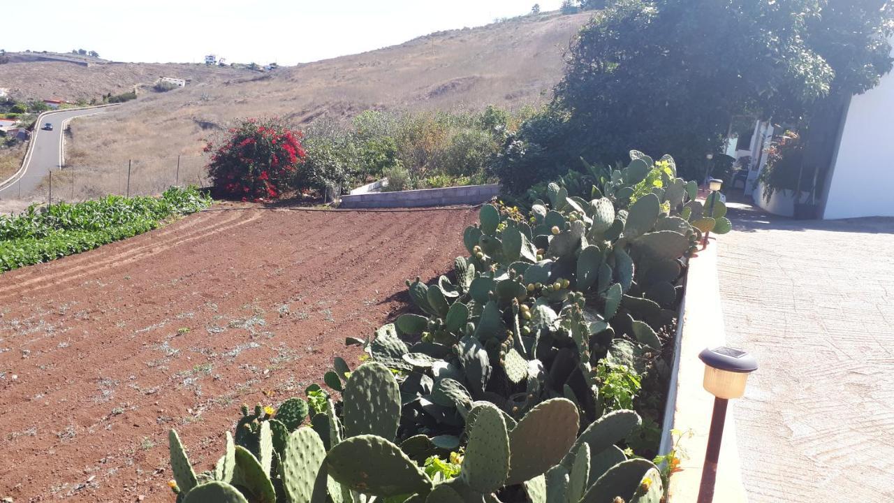 Casa Cueva Villa Aday Santa Maria de Guia de Gran Canaria 외부 사진
